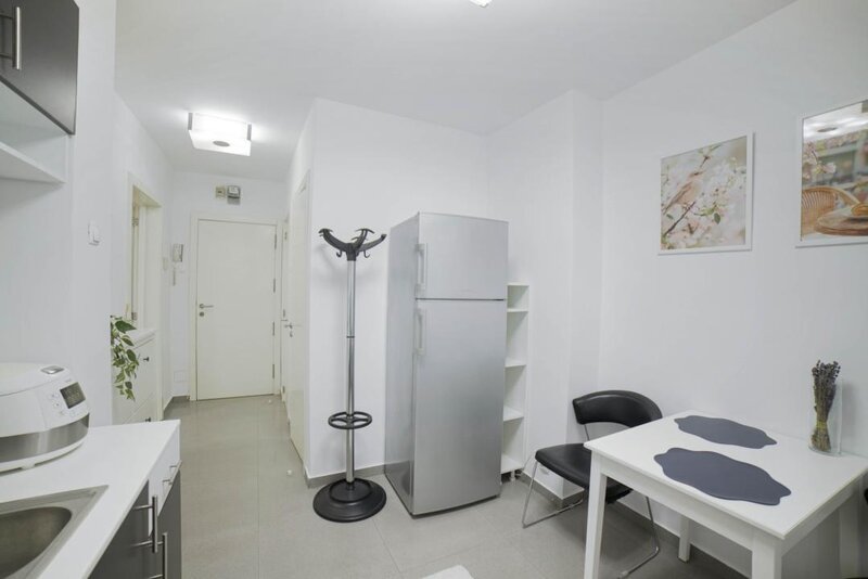 Pantelimon nr. 88, garsoniera complet renovata, etaj 1
